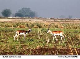 Draft Notification of the Kaimur Wildlife Sanctuary, Shahabad district, Bihar